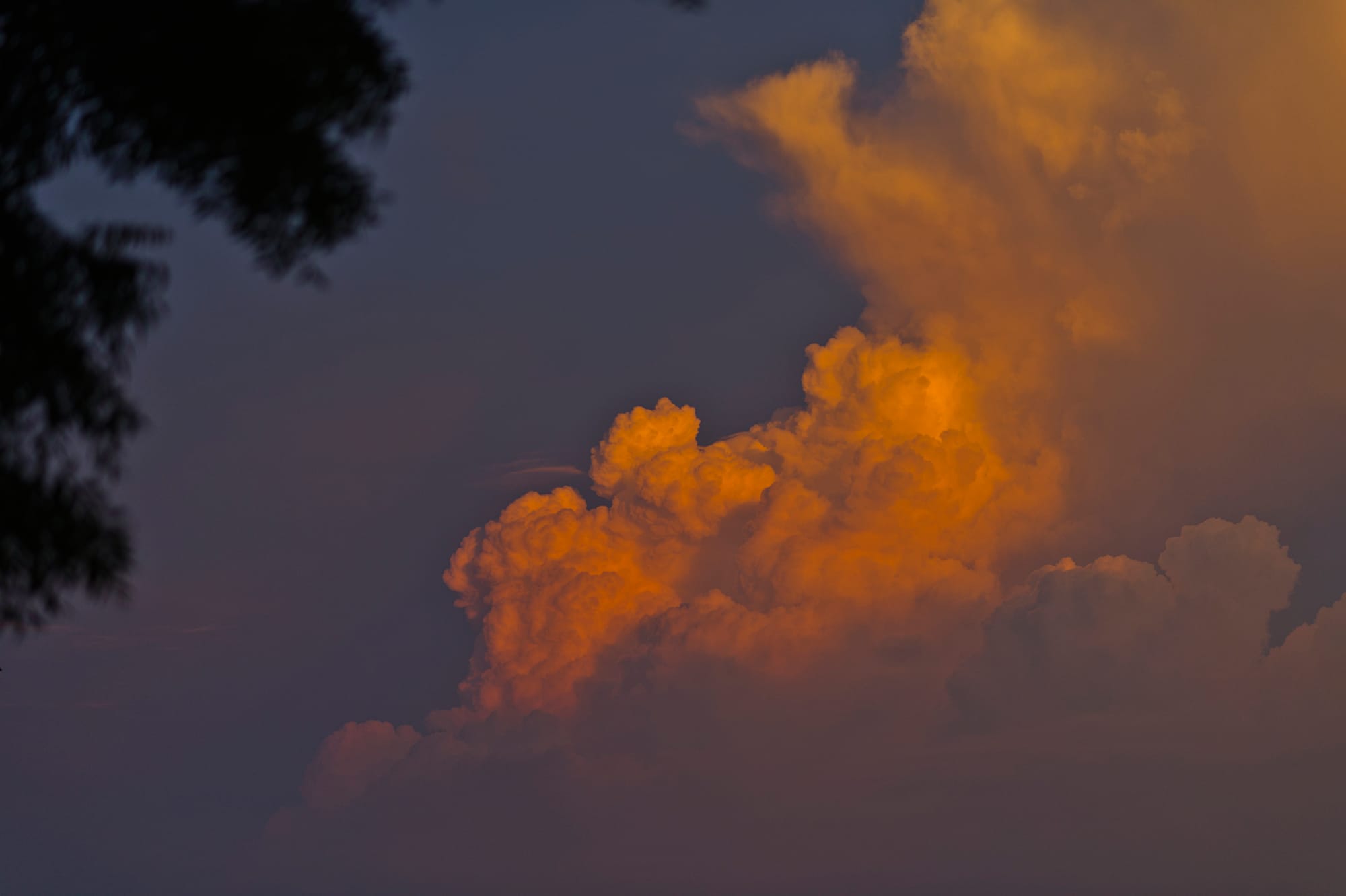 Images/Mohit Khodidas