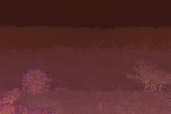 Some experiments